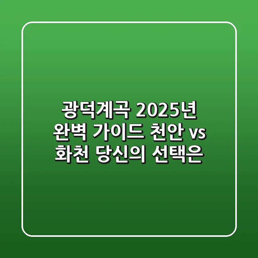 광덕계곡 2025년 완벽 가이드: 천안 vs. 화천, 당신의 선택은?