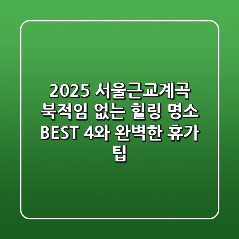 2025 서울근교계곡: 북적임 없는 힐링 명소 BEST 4와 완벽한 휴가 팁