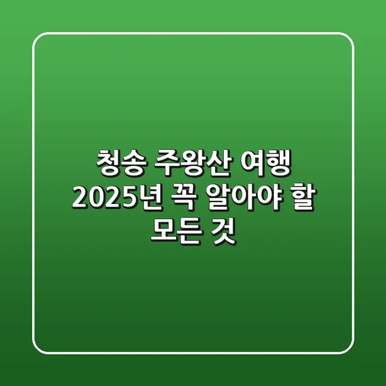 청송 주왕산 여행, 2025년 꼭 알아야 할 모든 것
