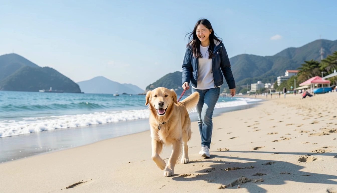 속초애견동반 맛집, 반려견과 함께 즐기는 현지 미식 경험