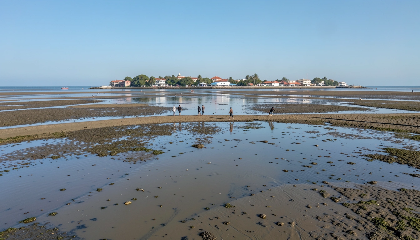 🚗 탄도항 주차 꿀팁과 놓칠 수 없는 주변 명소 연결 코스