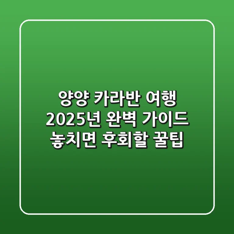 양양 카라반 여행, 2025년 완벽 가이드! 놓치면 후회할 꿀팁