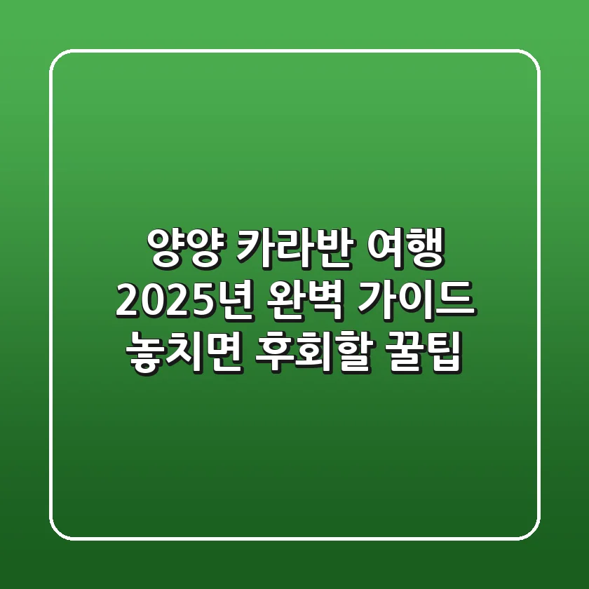 양양 카라반 여행, 2025년 완벽 가이드! 놓치면 후회할 꿀팁