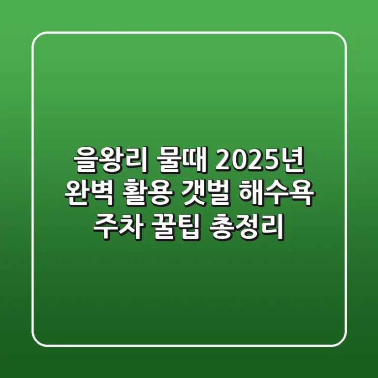 을왕리 물때 2025년 완벽 활용: 갯벌, 해수욕, 주차 꿀팁 총정리