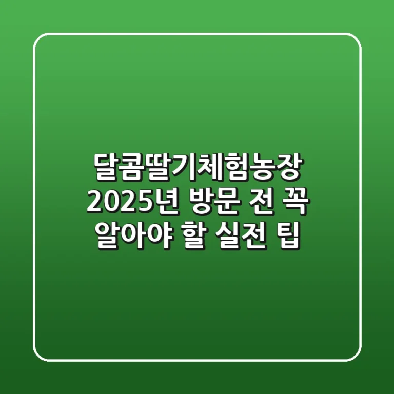 달콤딸기체험농장, 2025년 방문 전 꼭 알아야 할 실전 팁!