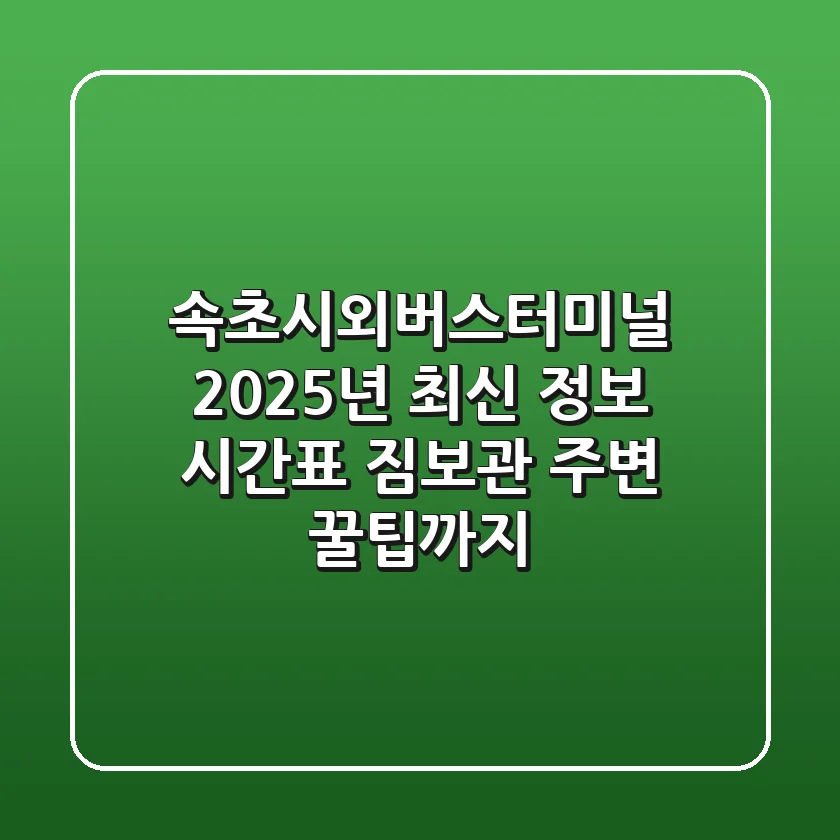 속초시외버스터미널 2025년 최신 정보: 시간표, 짐보관, 주변 꿀팁까지!