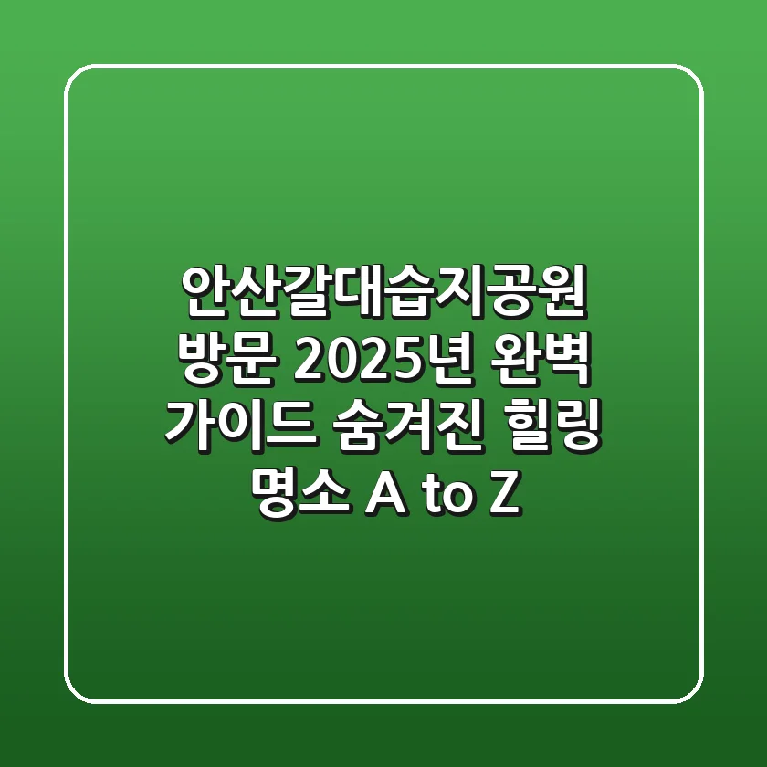 안산갈대습지공원 방문, 2025년 완벽 가이드: 숨겨진 힐링 명소 A to Z