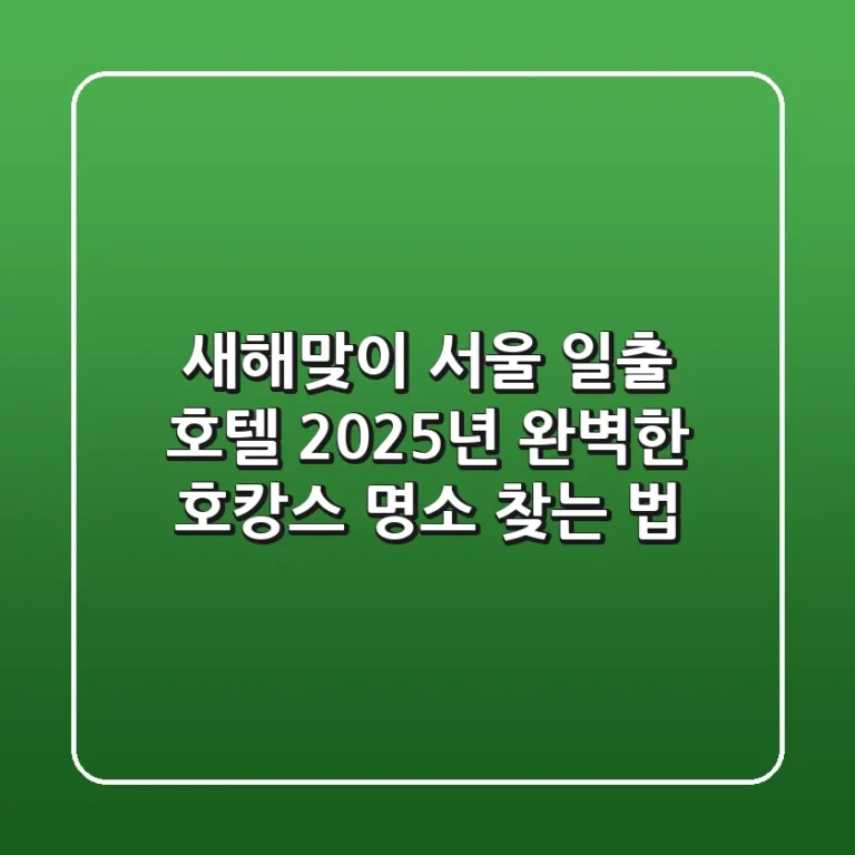 새해맞이 서울 일출 호텔, 2025년 완벽한 호캉스 명소 찾는 법