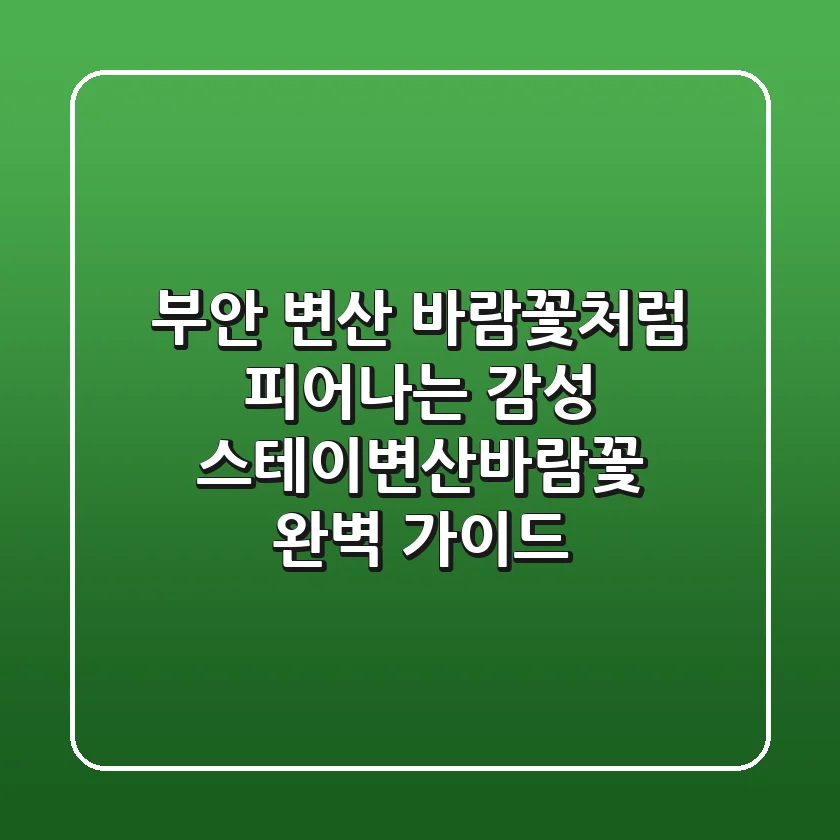 부안 변산 바람꽃처럼 피어나는 감성, 스테이변산바람꽃 완벽 가이드