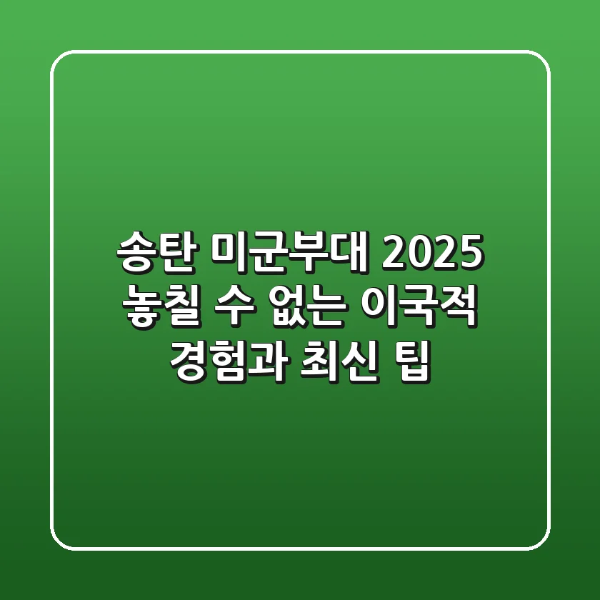 송탄 미군부대 2025, 놓칠 수 없는 이국적 경험과 최신 팁