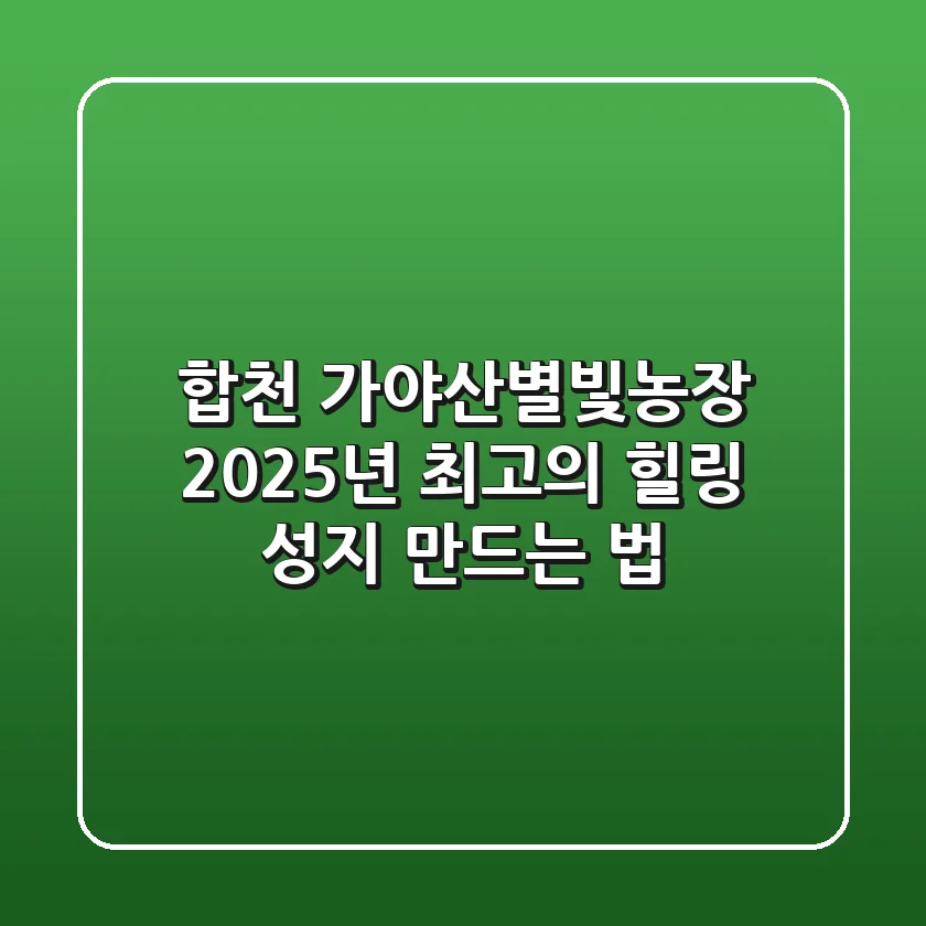 합천 가야산별빛농장, 2025년 최고의 힐링 성지 만드는 법