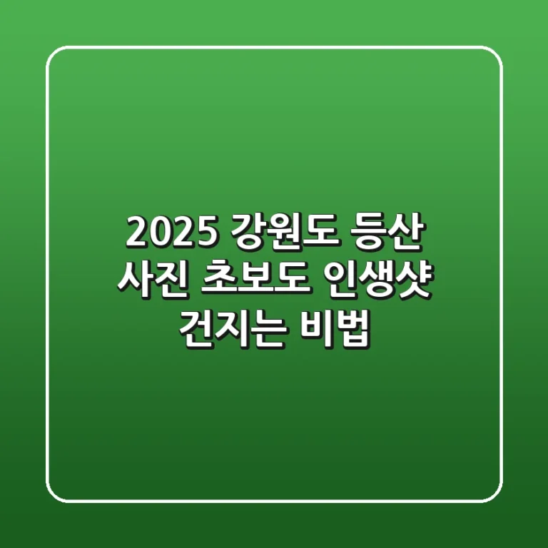 2025 강원도 등산 사진, 초보도 인생샷 건지는 비법