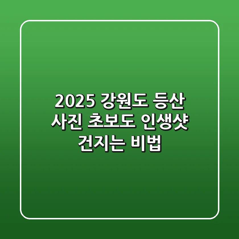2025 강원도 등산 사진, 초보도 인생샷 건지는 비법