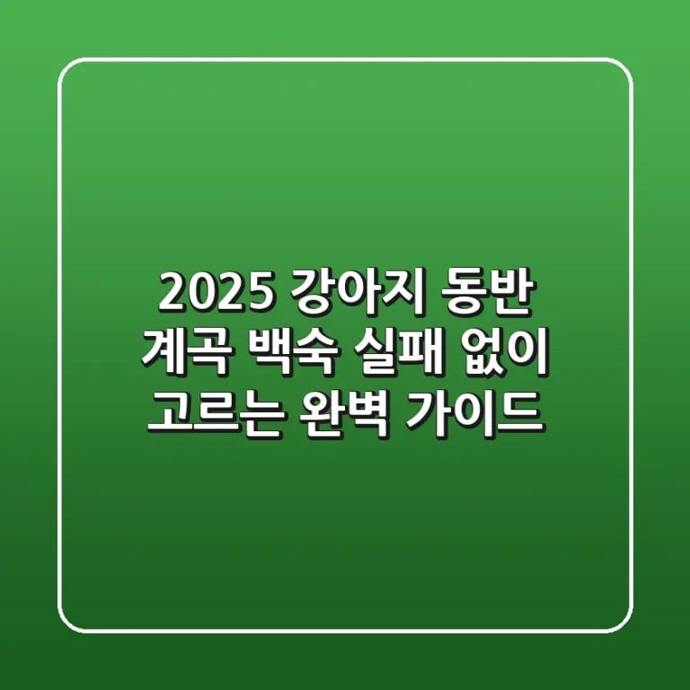 2025 강아지 동반 계곡 백숙: 실패 없이 고르는 완벽 가이드