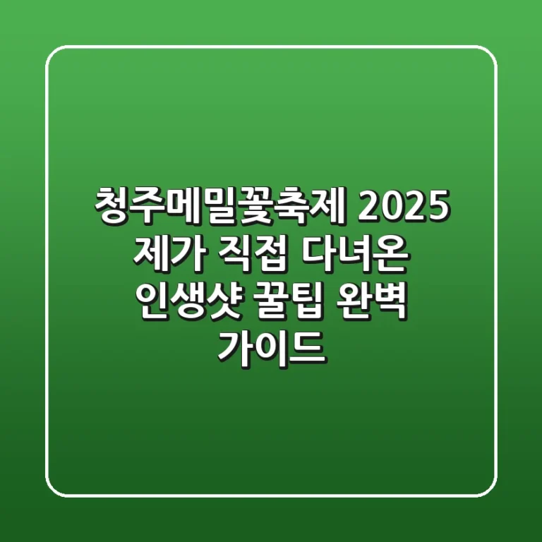 청주메밀꽃축제 2025: 제가 직접 다녀온 인생샷 & 꿀팁 완벽 가이드