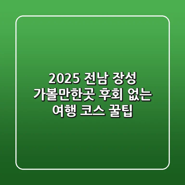 2025 전남 장성 가볼만한곳, 후회 없는 여행 코스 꿀팁