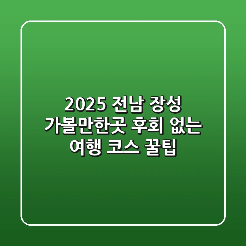 2025 전남 장성 가볼만한곳, 후회 없는 여행 코스 꿀팁